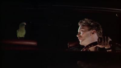 You're never gonna find your friend - Paulie