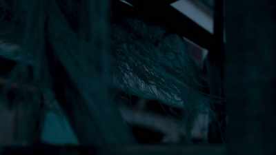 You're not
epileptic, you're just crazy. - Dystopia