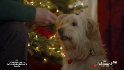 You're not giving her treats - If I Only Had Christmas