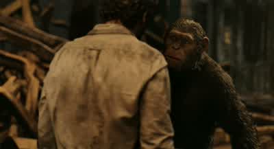 You're not safe here. - Dawn of the Planet of the Apes