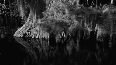 You're on float number three. - Louisiana Story