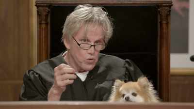 You're playing with
a grieving process - Gary Busey: Pet Judge