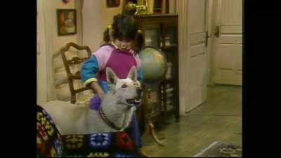 You're probably wondering what - Punky Brewster