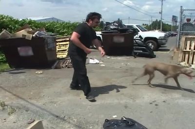 You're prostituting yourself out for cheeseburgers again - Trailer Park Boys