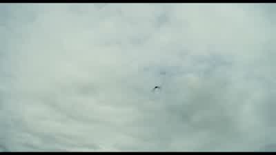 You're really doing damage to the sky. - The Favourite