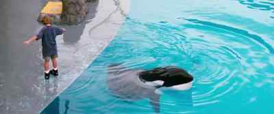 You're really doing it. - Free Willy