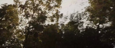 - You're really gonna think
so once you start walking it. - Deep Woods