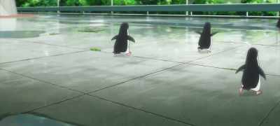 You're right. This is amazing. - Penguin Highway
