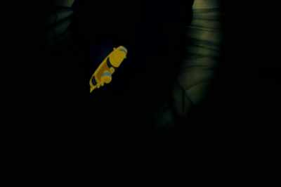 You're saying it's going to collapse
in on itself and us? - The Magic School Bus Rides Again