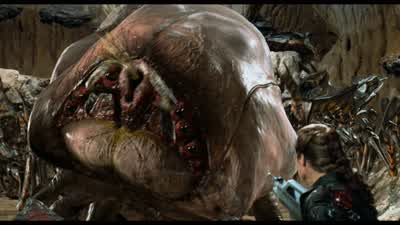 You're some kind of big fat smart Bug aren't you - Starship Troopers