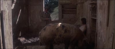 You're standing in pigshit - Electra Glide in Blue