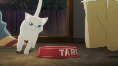 You're Taro's reincarnation, aren't you? - A Whisker Away
