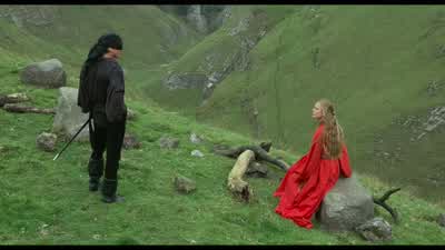 You're the Dread Pirate Roberts Admit itWith pride What can I do for youYou can die slowly cut into a thousand piecesHardly complimentary Your HighnessWhy loose your venom on meYou killed my loveIt's possible I kill a lot of people - The Princess Bride