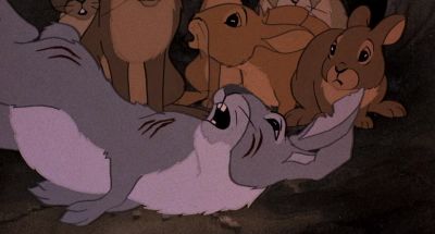 You're the one who saw it coming - Watership Down