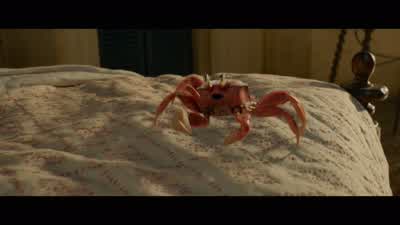 You're welcome For the scuttlebutt - The Little Mermaid
