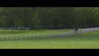 Youth Spirit who had
smart form as a two year old, - Horsepower
