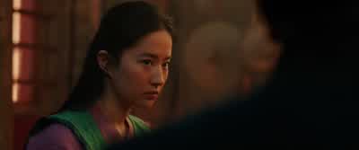 You've already made many great sacrifices. - Mulan
