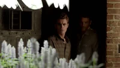 You've been growing it. - The Vampire Diaries