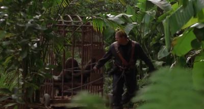 You've been yakkin' for two days straight - George of the Jungle