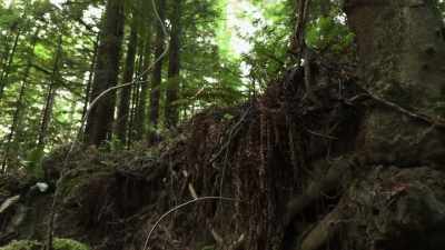 You've got so much separation
between you and whatever's
above you. - Expedition Bigfoot