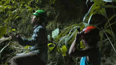 You've got this
big collapsed section - Lost Treasures of the Maya