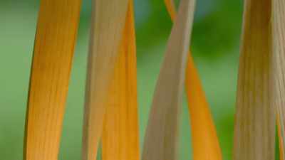 You've made individual loops
so that you only - Handmade: Britain's Best Woodworker