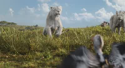 You've messed with the wrong hornbill! - Mufasa: The Lion King