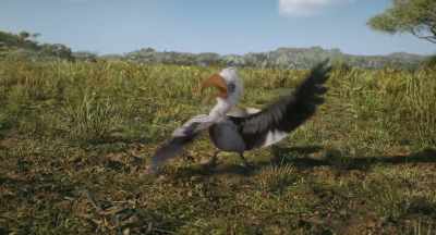 You've messed
with the wrong hornbill! - Mufasa: The Lion King
