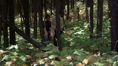 You've never been in love before? - Days of Heaven