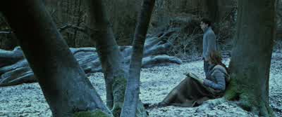 You've outdone yourself this time, Hermione. - Harry Potter and the Deathly Hallows: Part 1