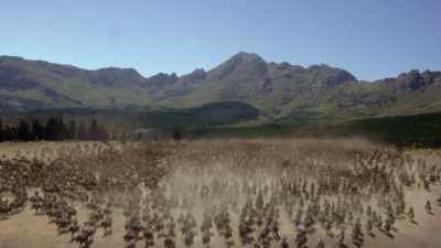 YU-MIN LIN:
Genghis Khan descends - Origins: The Journey of Humankind