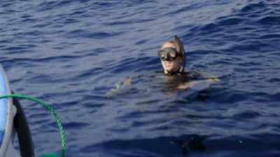 - Yup.
- And if you're saying - Secrets of the Whales