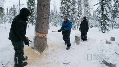 Yup, right. - Life Below Zero: First Alaskans