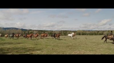 Yup, yup, get up there. - Heartland
