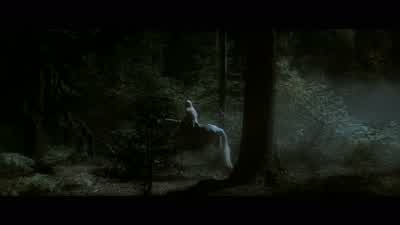 TristanPlease protect our sister TristanYvaine is in grave dangerThe unicorn came to help herBut now they're heading into a trapNo star is safe in StormholdThe last to fall 400 years agowas captured by the same witches who seek Yvaine nowThey tricked - Stardust