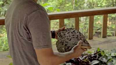 [Zac] Not everyone comes here
for the Ayahuasca ceremony. - Down to Earth with Zac Efron