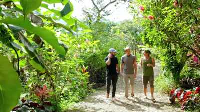 -[Zac] Those are all perennials?
-So breadfruit is like a potato... - Down to Earth with Zac Efron