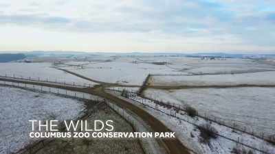 zack-alright-lets-make-happen - Secrets of the Zoo