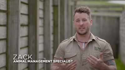 Zack: He is so big and so strong - Secrets of the Zoo