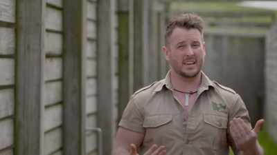Zack: If it was curt and I going
in and trying to corner him, - Secrets of the Zoo