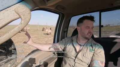 Zack: Really neat,
any other species - Secrets of the Zoo