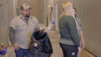 Zack: So, a kick from an ostrich - Secrets of the Zoo