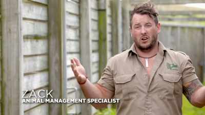Zack: So today is our
annual onager exam day. - Secrets of the Zoo