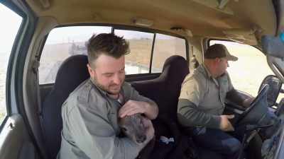Zack: We need to act fast
and we wanna make sure - Secrets of the Zoo