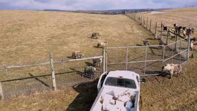 Zack: Yeah, let me get away
from these gates. - Secrets of the Zoo