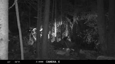 Zack's not here.
He left all his gear.
Everything's here. - Expedition Bigfoot