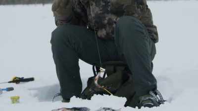 Zander and perch,
just enough to fry up in a pan. - Wild Nordic