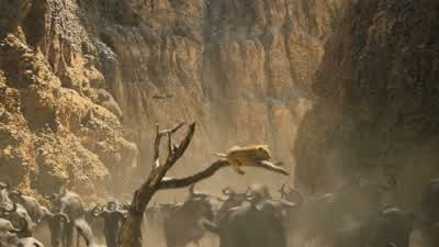 Zazu! Hold on! Help is coming! - The Lion King