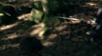 Zedd is not allard's father. - Legend of the Seeker