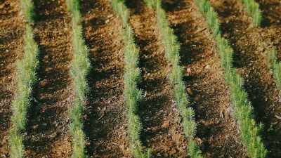 ZEKE: The California Forest
Practice rules - Bring Your Own Brigade